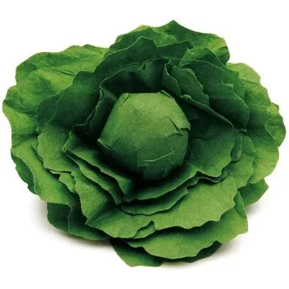 Erzi Wooden Vegetable Lettuce