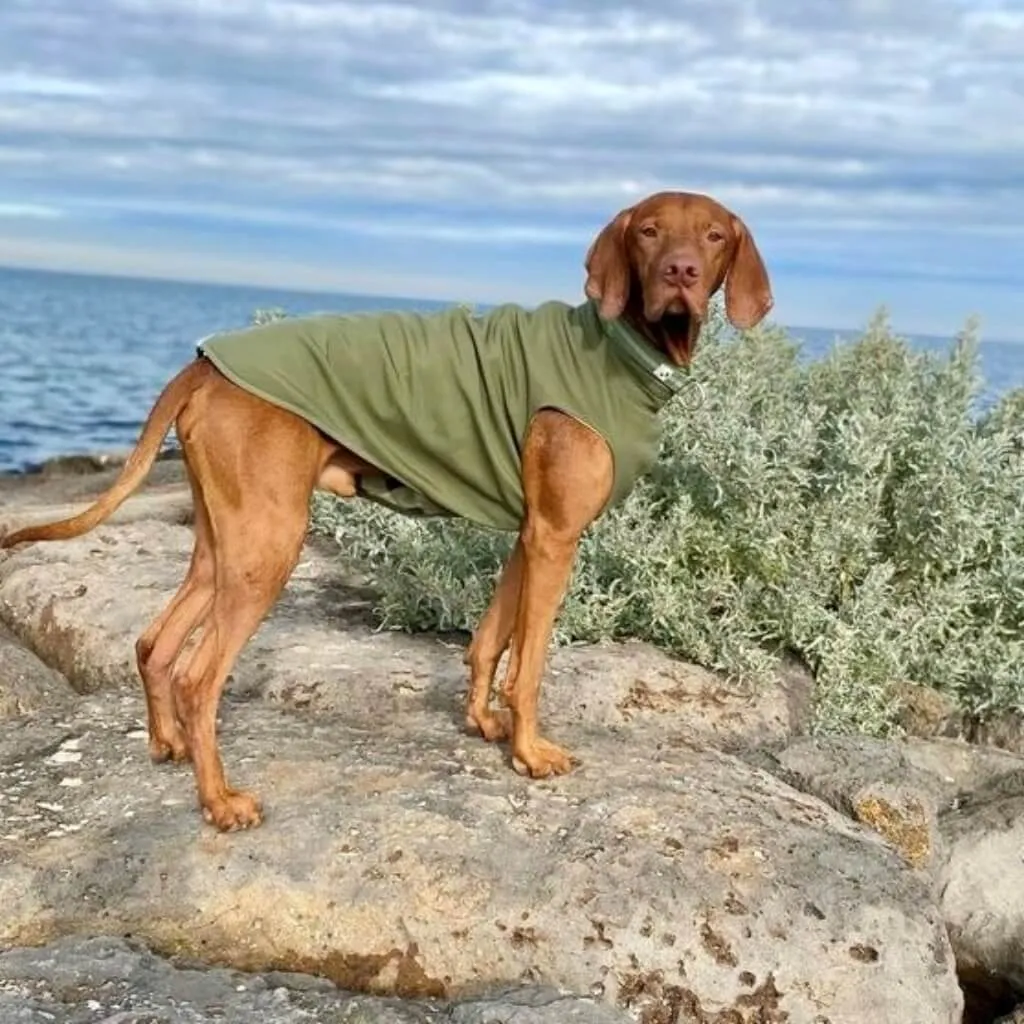 Floofy Fleece Dog Raincoat | Green