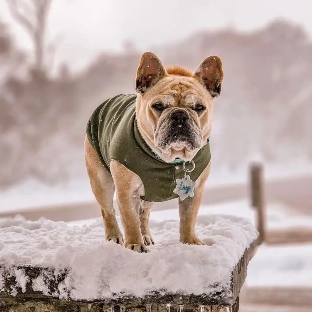 Floofy Fleece Dog Raincoat | Green