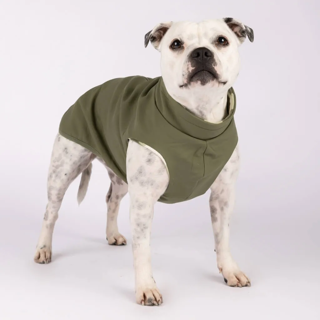 Floofy Fleece Dog Raincoat | Green
