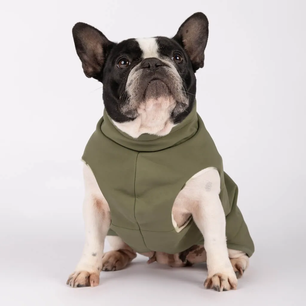 Floofy Fleece Dog Raincoat | Green