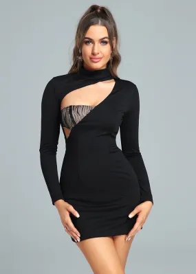 Lace Insert Long Sleeved Bodycon Mini Dress
