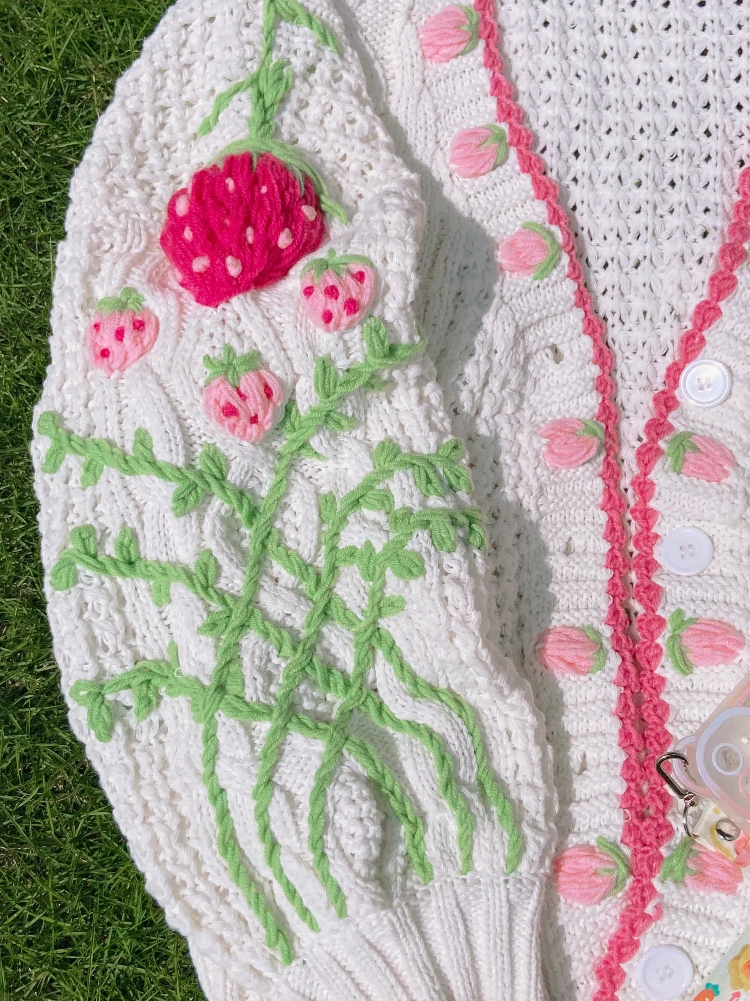 Strawberry Hand Embroidery Cardigan Sweater